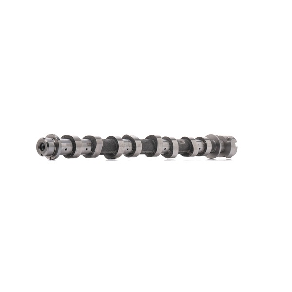 OE Nokkenas RENAULT MEGANE 2012 1300100Q0C, 1300100Q0K, 130200296R van AMC