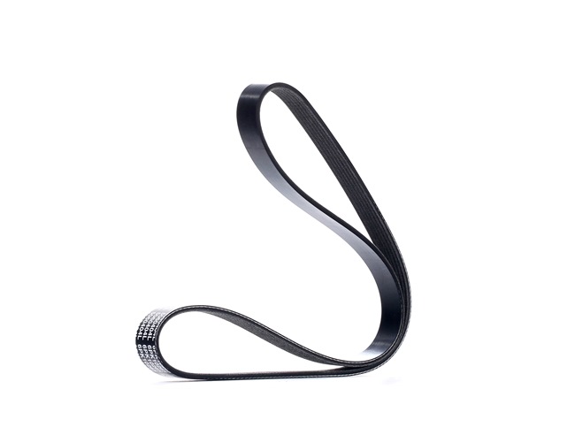 DAYCO 04L 260 849 C Keilrippenriemen