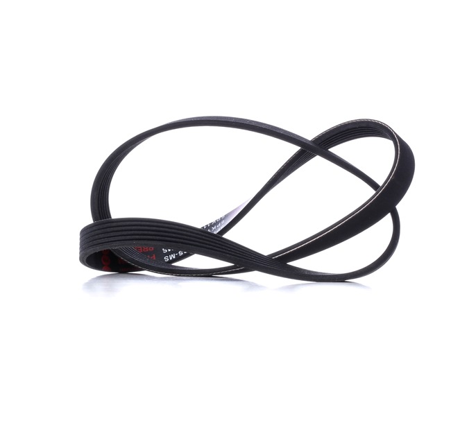OEM Ιμάντας poly-V VW 1.6 101 PS Βενζίνη 032145933E από την MASTER-SPORT ηλεκτρονικά σε χαμηλές τιμές