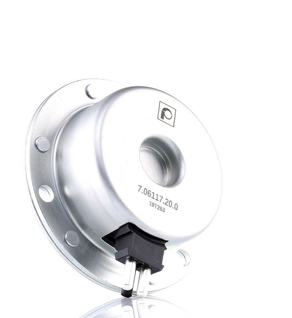 Nokkenas-regelklep MERCEDES-BENZ in originele kwaliteit 1040500177, 1190510077, A1040500177 van PIERBURG