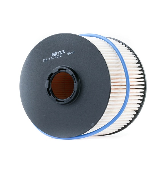 OEM Filtro combustible CITROËN 2.0 HDi 98 CV Gasóleo 1681999 de MEYLE online a precios inmejorables
