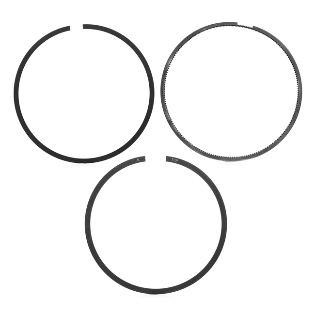 OEM Kit fasce elastiche MINI 1.6 Cooper 120 CV Benzina da NE online ad un ottimo prezzo