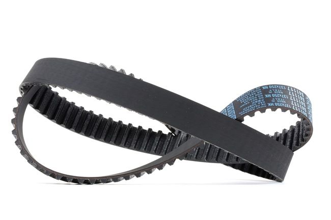 Buy cheap original Timing Belt 941117 comparable with 0816G7 OEM numbers online