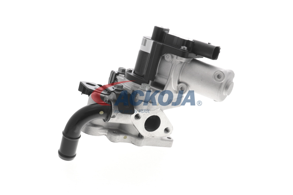 Compre ACKOJA Válvula EGR Número de producto: A52-63-0013 a bajo precio de 282,54 €