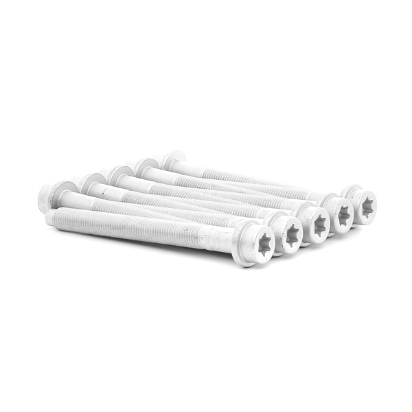 Jeu de boulons de culasse de cylindre 020465 x10