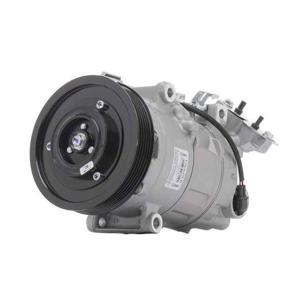 DELPHI Aircopomp CS20481