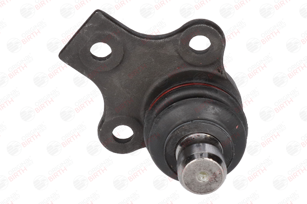 OEM Pivot roata Peugeot 206 2A/C 2005 357407365, 357407365A, 895407241K BIRTH