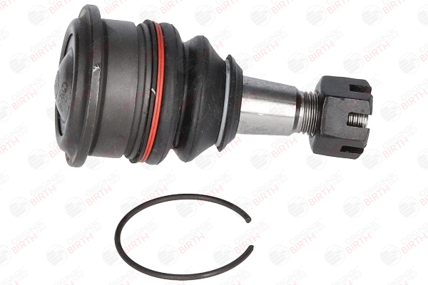 Įsigykite nebrangią originalią Šarnyras CX9236. sulyginama su 4330809080 OEM numeriais internetu