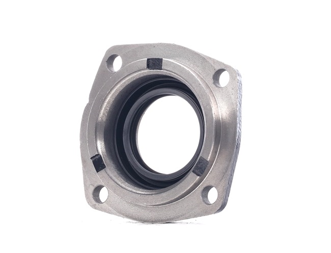 FAST 3 12 148 Wellendichtring, Differential