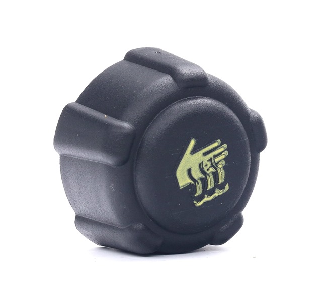 OE RENAULT DUSTER 2012 Dangtelis, radiatorius 04408066, 091166192, 1793184A00 nuo FAST