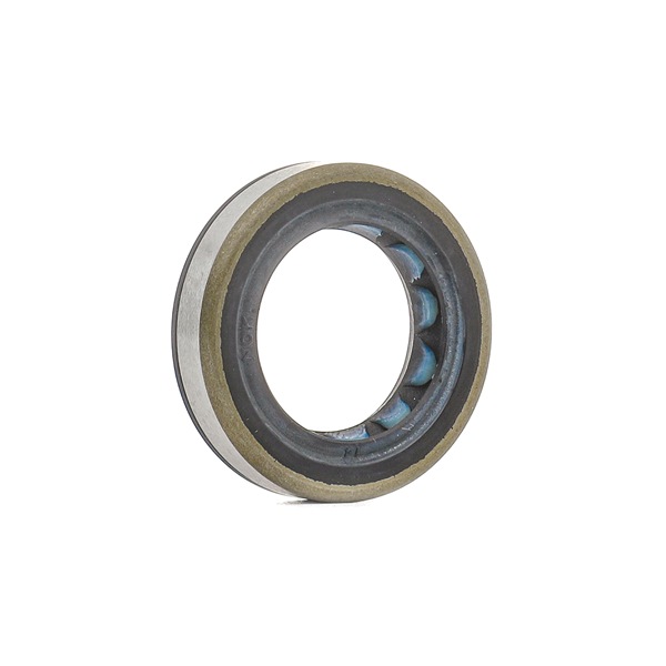 BOSCH Vārpstas blīvgredzenu komplekts, Motors H 146 601 070