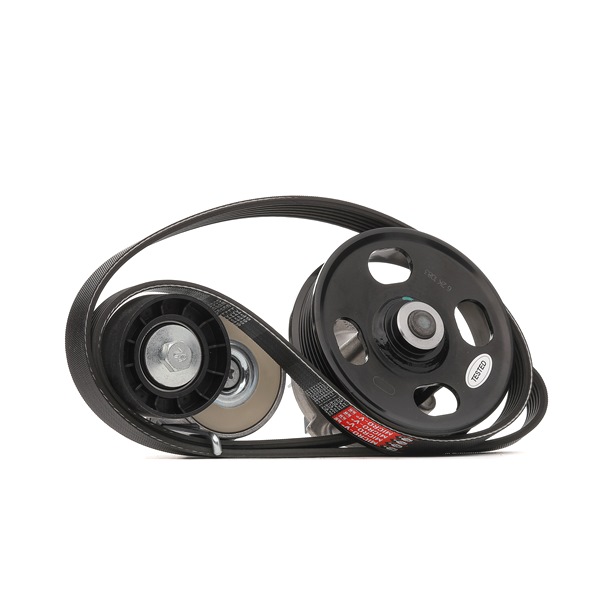 OE Keilrippenriemensatz FIAT TIPO 2015 6PK1320, WP0120, 0060551888 von GATES