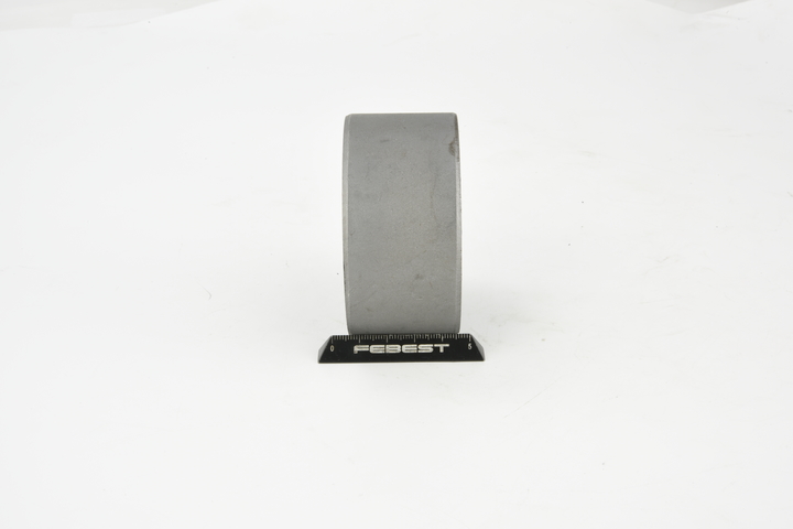 OEM Rulment, diferential NISSAN 2.2 Di 4x4 114 CP motor diesel 554008H300 de la FEBEST online la un preț incredibil