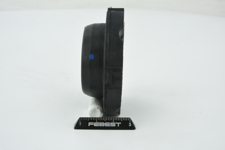 NAB-281 FEBEST Hinterachslager