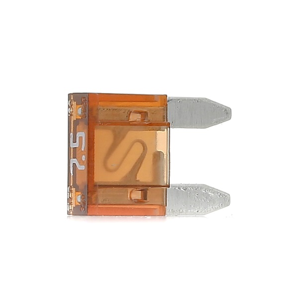 BOSCH Sikring 1 987 529 029