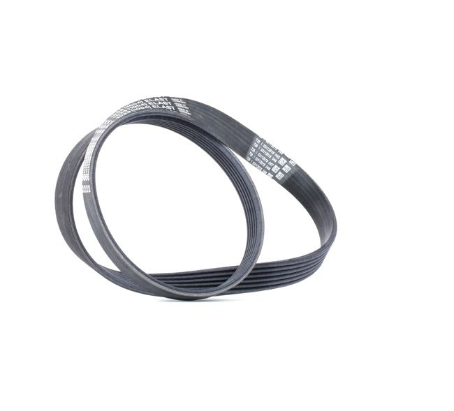 OEM Serpentine belt FORD Fiesta Mk6 Saloon 1465590, 1471772, 1472606 from CONTITECH - save money with our low prices