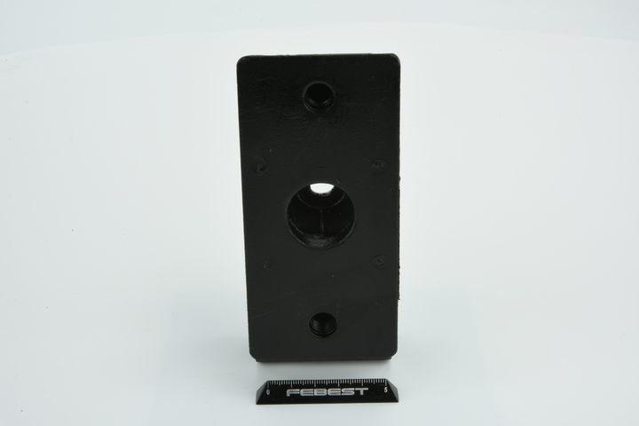OE Tampon motor SANTANA PS10 / ANIBAL 2019 1171065D00, 1171065D01, 1171065D02 de la FEBEST