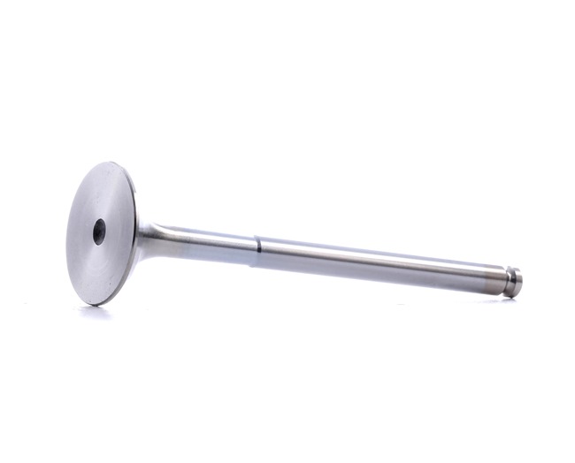OEM Válvula de escape FIAT 1.6 i.e. 90 CV Gasolina 5990533 de BGA online a precios inmejorables