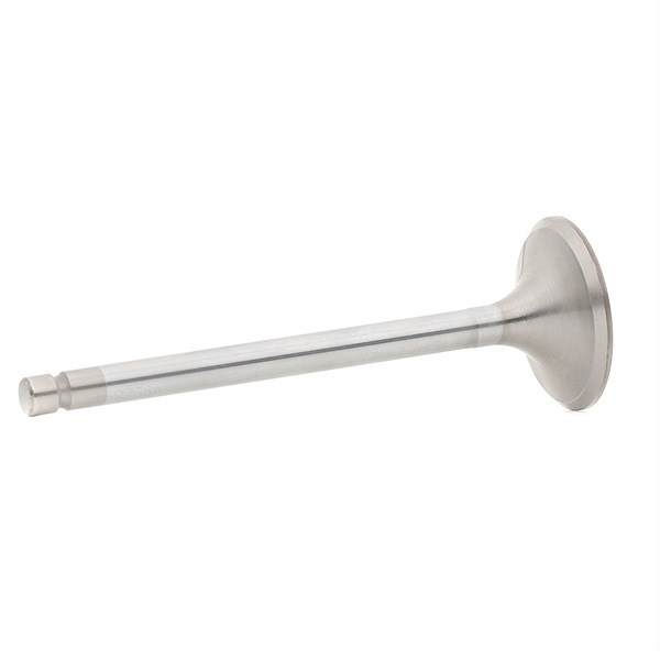 Inlaatklep SMART in originele kwaliteit 1600530001, A1600530001, 6420530401 van BGA