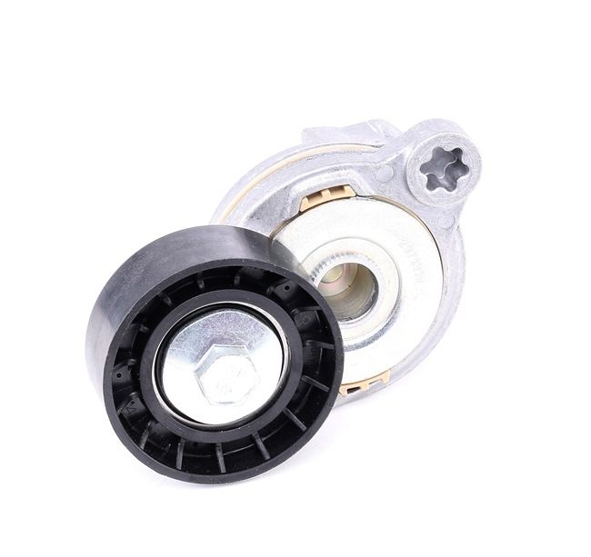 OEM Rolă accesorii VOLVO V70 III Van / Break (135) 2015 31330379, 46756937, 55204392 SKF