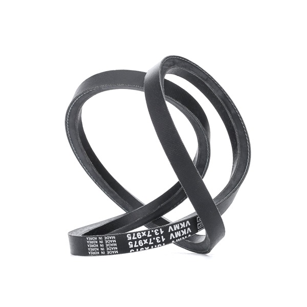 SKF V-Belt VKMV 13.7x975