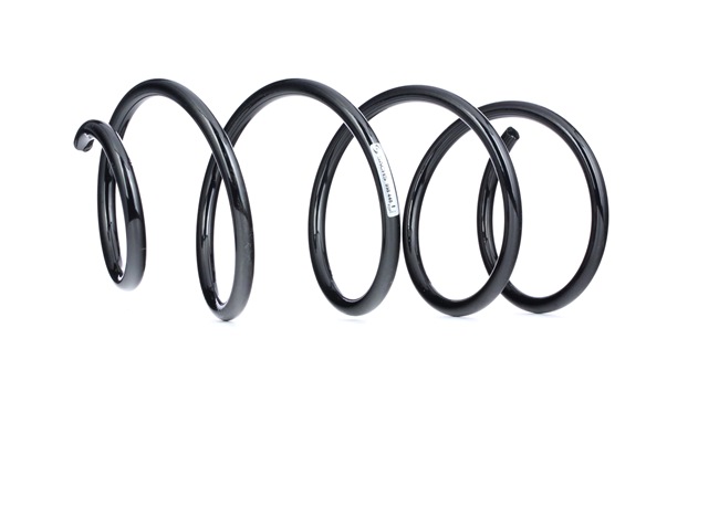 Springveren MINI in originele kwaliteit 31336767365, 6767365, FE1G197 van SACHS