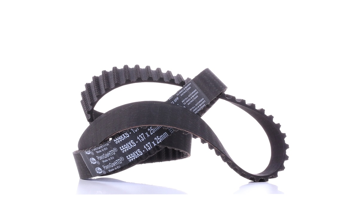 Ostke GATES Hammasrihm Toode nr.: 5598XS madala hinnaga 31,16 €