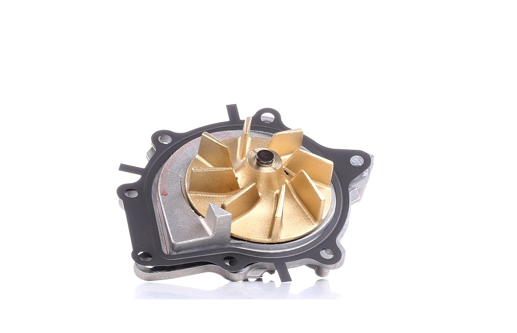 Įsigykite FAI AutoParts Vandens siurblys Prekės Nr.: WP6100 už žemiausią 34,28 € kainą