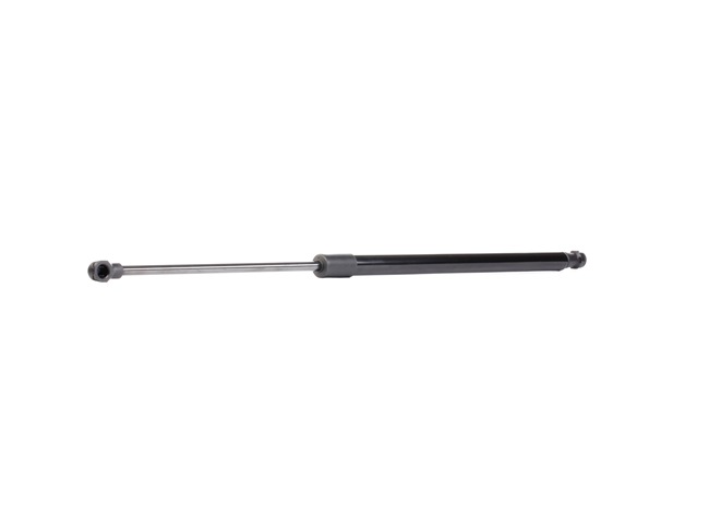 OEM Gasveer achterklep RENAULT 1.2 75 PK Benzine 8200219322 van RIDEX online aan geweldige prijzen