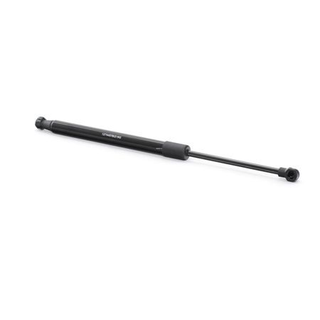 OEM Gasveer achterklep RENAULT 1.2 16V (CN04, CN0B) 75 PK Benzine 8200385560 van RIDEX online aan geweldige prijzen