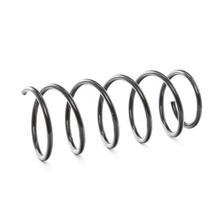 OEM Chassisveer RENAULT 1.8 (B/C57C, C579, B/C57U) 90 PK Benzine 7700800993 van RIDEX online aan geweldige prijzen