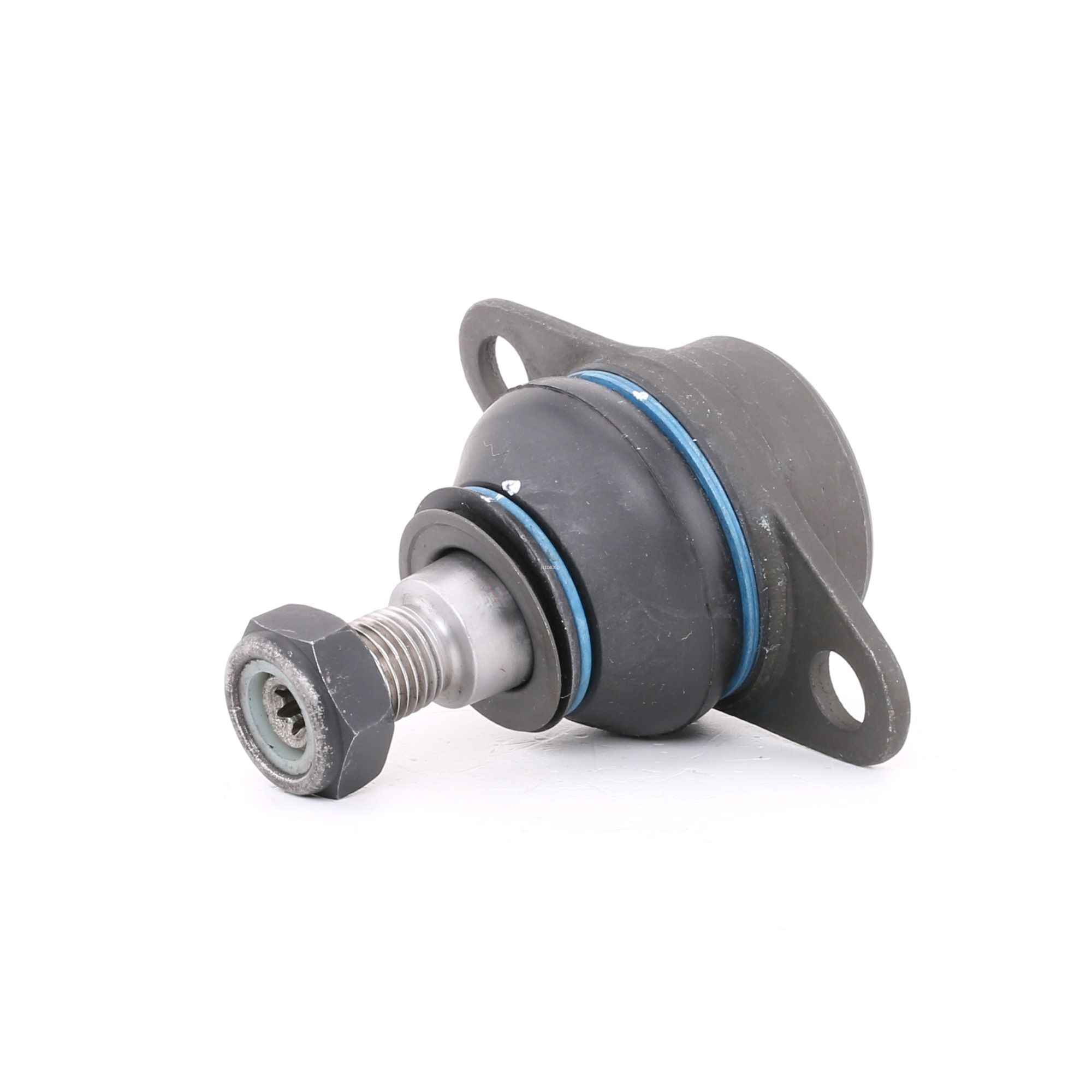 Įsigykite RIDEX Šarnyras Prekės Nr.: 2462S0276 už žemiausią 16,73 € kainą