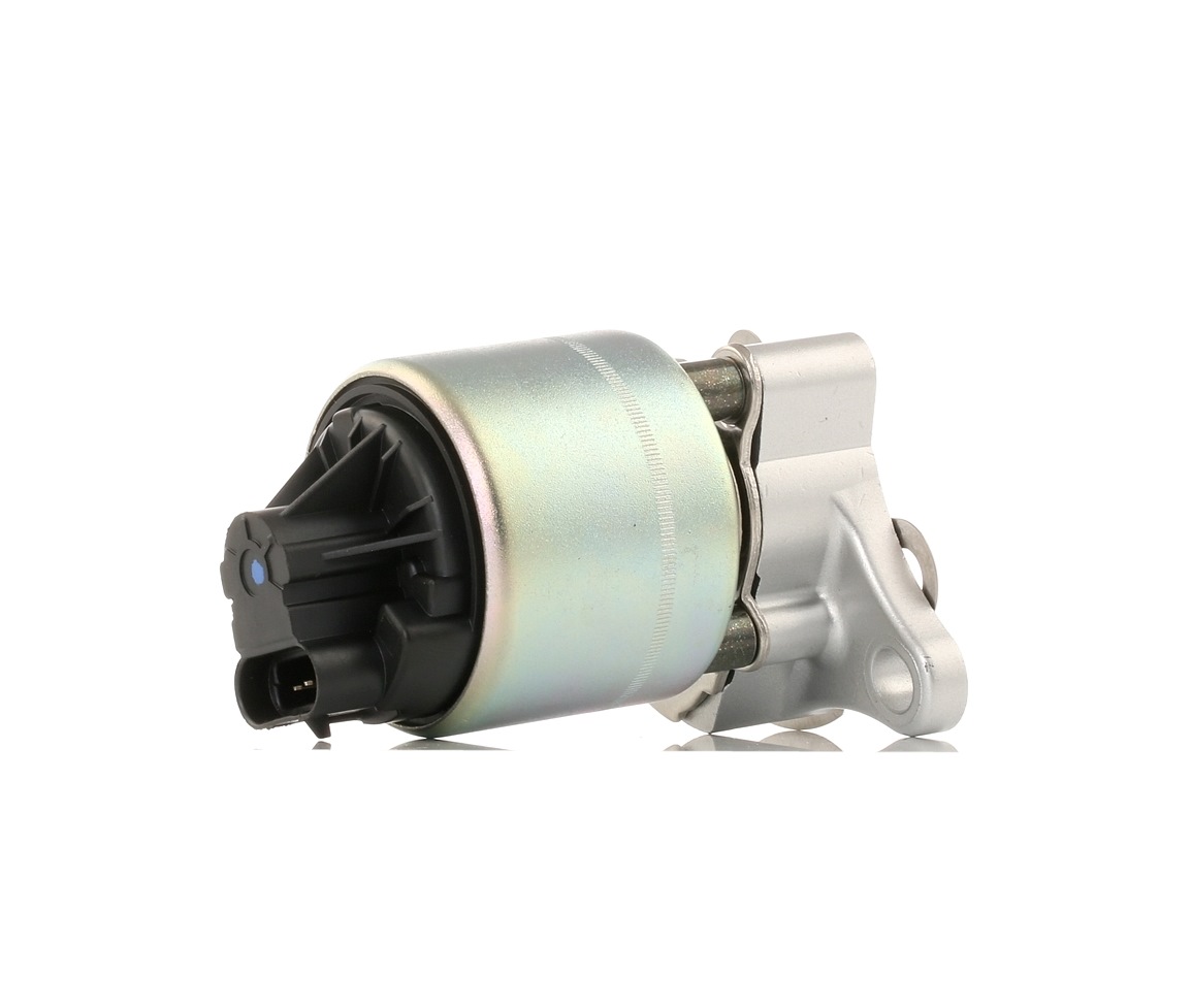 Įsigykite RIDEX ERG vožtuvas Prekės Nr.: 1145E0162 už žemiausią 59,90 € kainą