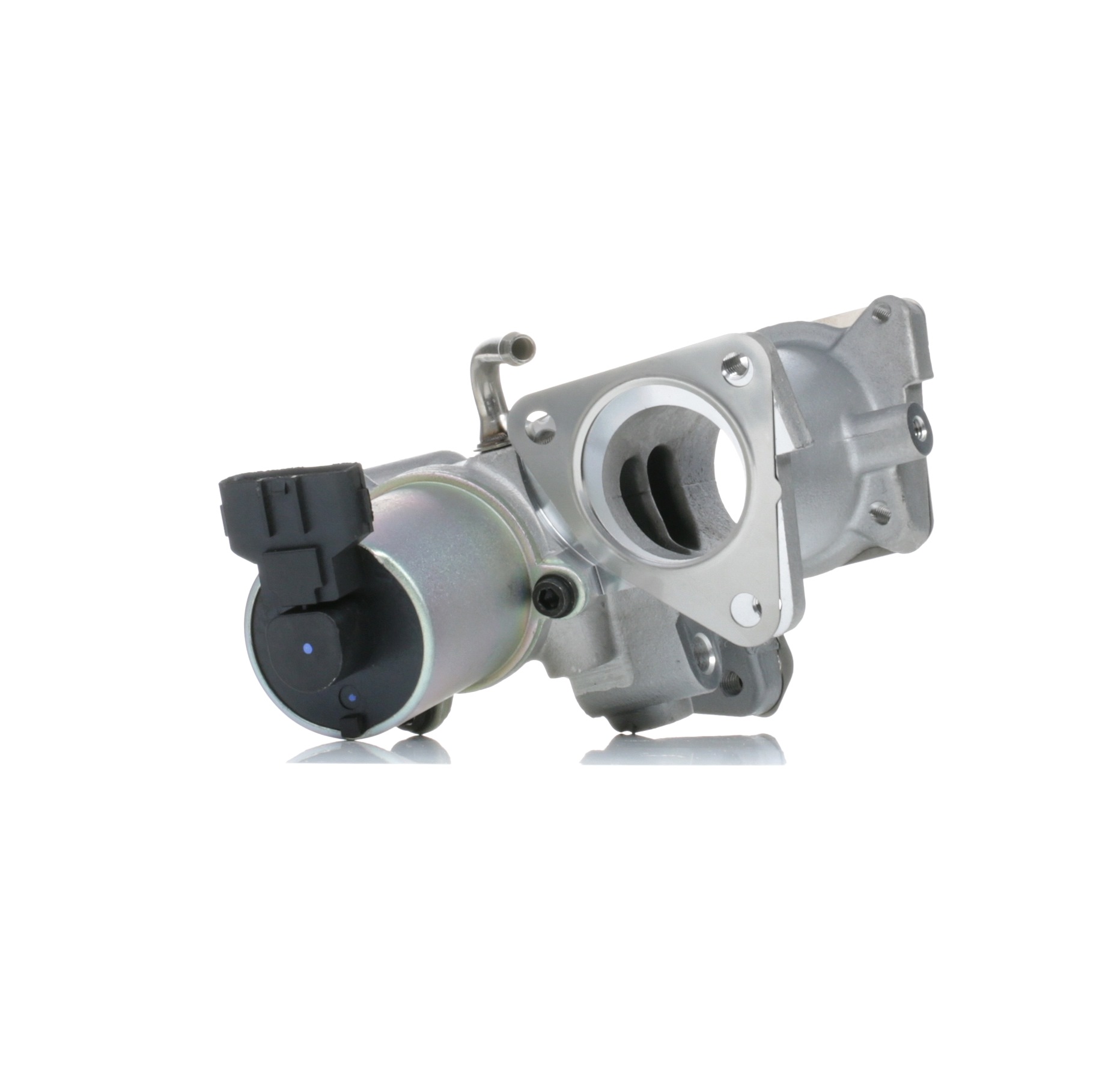 Įsigykite RIDEX ERG vožtuvas Prekės Nr.: 1145E0168 už žemiausią 125,66 € kainą