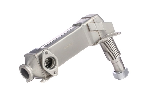 OE EGR BMW Serie 3 2011 11717790065, 7790065, 7794245 de RIDEX