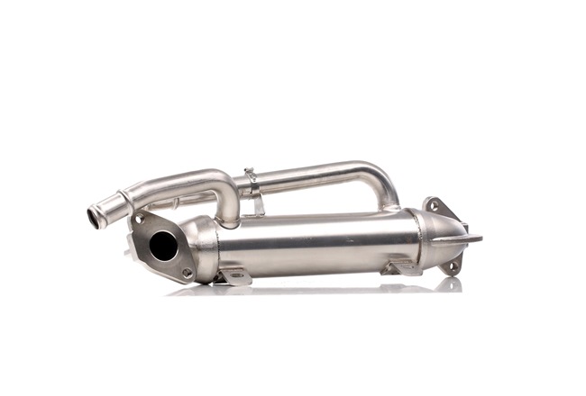 OEM EGR-ventil AUDI 2.0 TDI 136 hk Diesel 038131513S från RIDEX på nätet till fantastiska priser