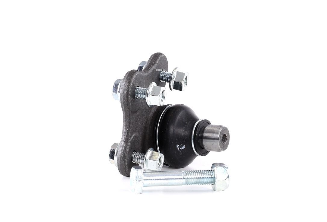 Įsigykite RIDEX Šarnyras Prekės Nr.: 2462S0307 už žemiausią 12,34 € kainą
