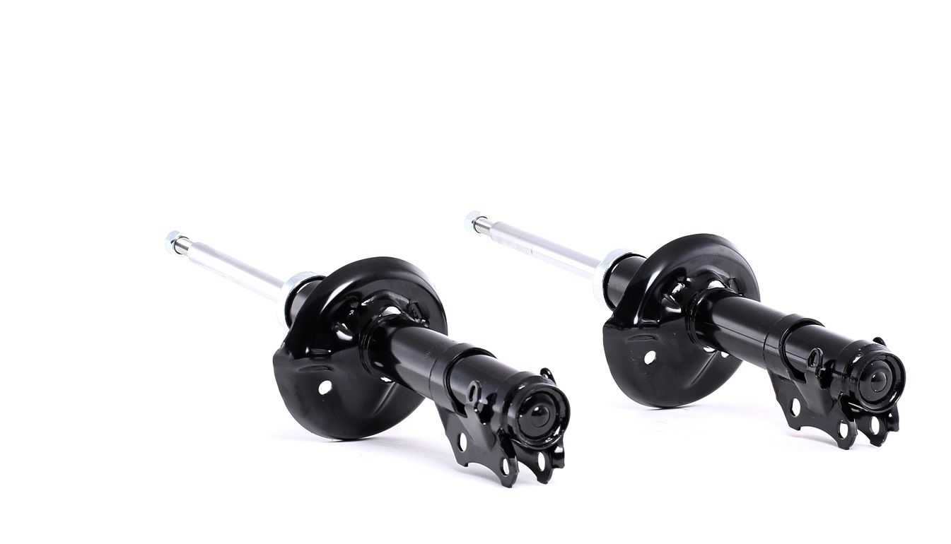 Ostke RIDEX Amort Toode nr.: 854S1999 madala hinnaga 58,28 €
