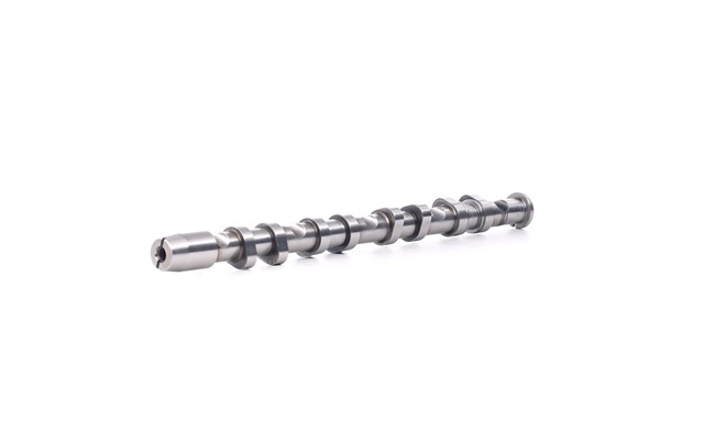 OEM Ax cu came SKODA 2.0 TFSI 200 CP benzina 06F109102B de la RIDEX online la un preț incredibil