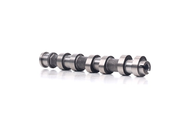 OEM Nokkenas OPEL 1.0 (F08, F68) 58 PK Benzine 09120518 van RIDEX online aan verbazingwekkende prijzen
