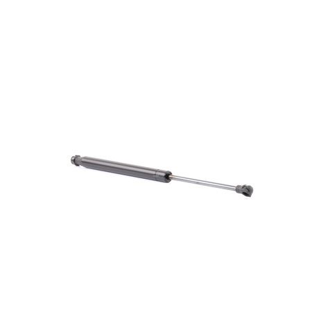 Acquista online Ammortizatore pneumatico, Cofano bagagli / vano carico 219G0843 originale a buon mercato, comparabile con i numeri OEM 95962016