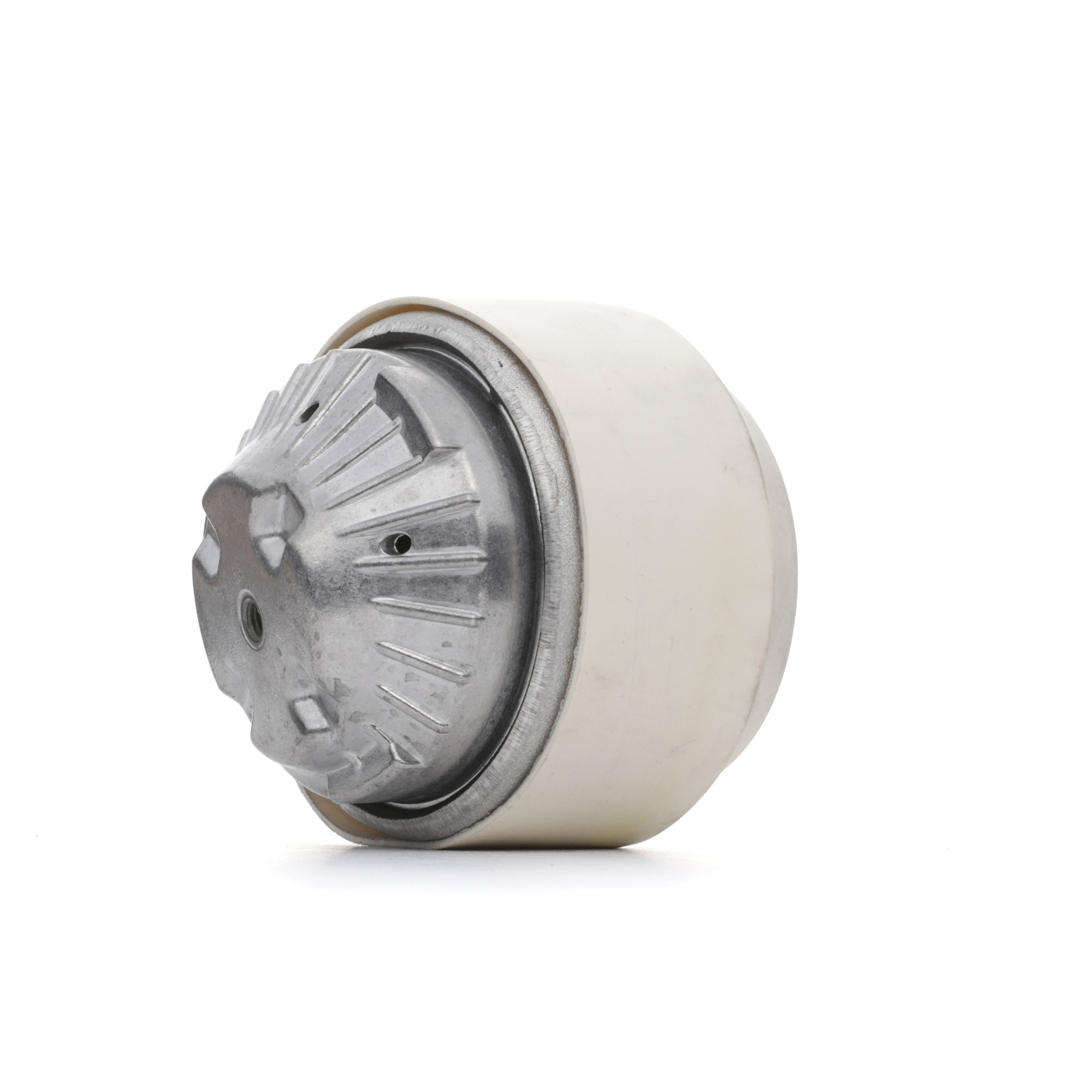 Įsigykite RIDEX Variklio montavimas Prekės Nr.: 247E0210 už žemiausią 40,52 € kainą