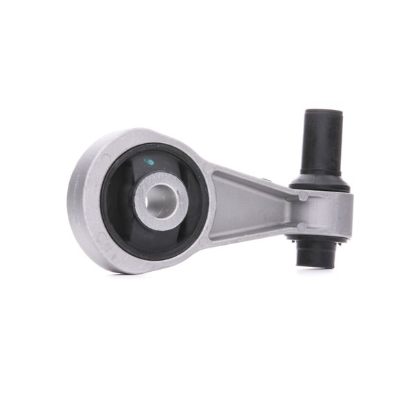 OEM Suporte, motor LANCIA 1.3 JTD (843.AXD11, 843.AXD1A) 70 CV Diesel 46546189 de RIDEX online a preços excelentes