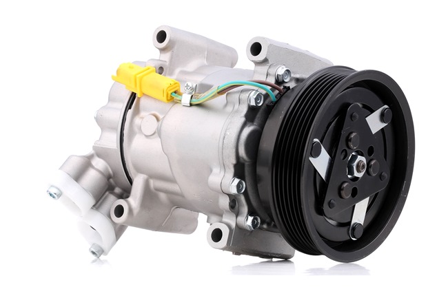 OE RENAULT WIND 2016 Kompresorius / dalys 2763000Q0D, 2763000Q0N, 2763000Q1M nuo STARK