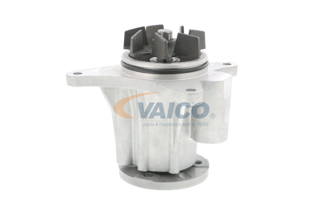 Įsigykite VAICO Vandens siurblys Prekės Nr.: V48-50011 už žemiausią 61,30 € kainą