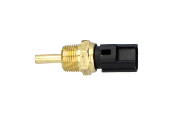 OE Unità di controllo motore CITROËN C-ZERO 2017 1308A012, 3922035710, 8942287101000 di KAVO PARTS