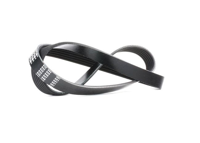 Compre Correa trapecial poli V 1418101800 original asequible comparable con números OEM online 55191006