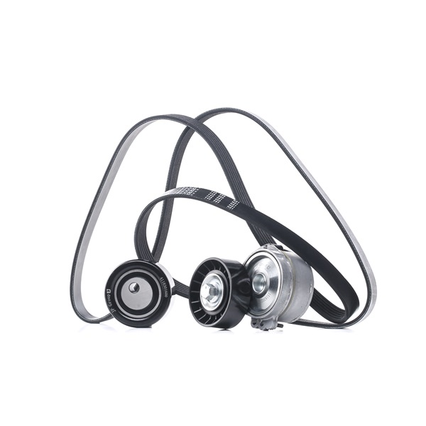 Kupte si levné originální Sada zebrovanych klinovych remenu 4118100910 porovnatelné s 5750L2 OEM čísly online