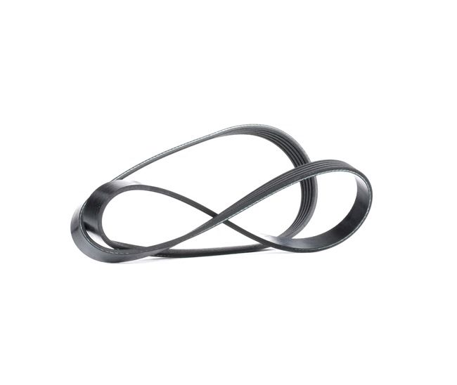 Compre Correa trapecial poli V 4818101500 original asequible comparable con números OEM online 93169491