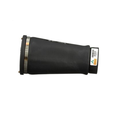 Vzmetni meh, zracno vzmetenje LAND ROVER v originalni kakovosti RKB101200, REB101740, RKB101460 od Arnott